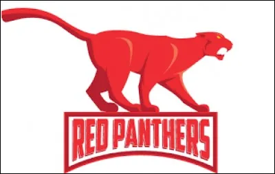 L'équipe des Red Panthers est en progression constante ces dernières années. Dans quel sport ces filles s'illustrent-elles ?