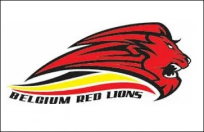 Les Red Lions ont décroché une médaille d'argent aux jeux Olympiques de Rio en 2016. Dans quel sport sont-ils de plus en plus redoutés sur la scène mondiale ?