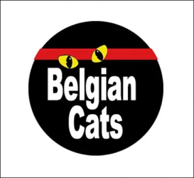 Quelle équipe féminine belge est surnommée Belgian Cats ?