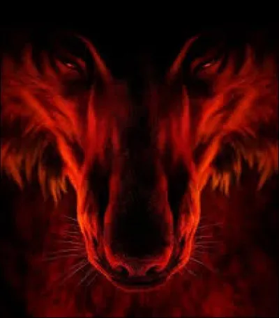 Le palmarès des Red Wolves est nettement moins bien garni que celui des Français... Quel sport pratiquent-ils ?