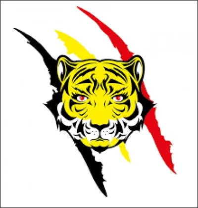 On change de couleurs avec les Yellow Tigers, l'équipe féminine belge de...