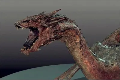Comment s'appelle le dragon ?