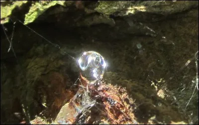 Comment s'appelle la pierre que cherche Thorin ?