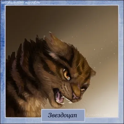 Comment Etoile du tigre renomme-t-il son promontoire personnalisé ?