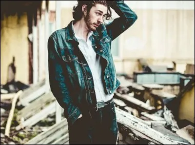 Le titre "Work song" de Hozier veut dire...