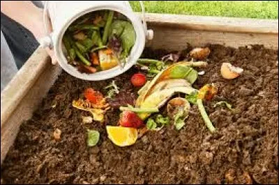 De combien le compost réduit-il le volume de notre poubelle ?