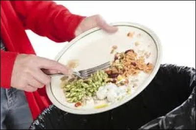 Combien de kg chaque Français jette-t-il en moyenne par an ?