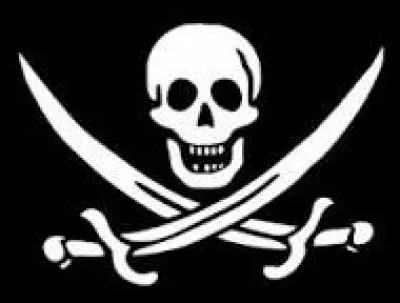 Dans quel pays peut-on voter pour le parti Pirate ?