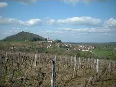 Vous avez derrière les vignes, le village viticole Jurassien de Saint-Lothain. Il se situe dans la nouvelle région ...