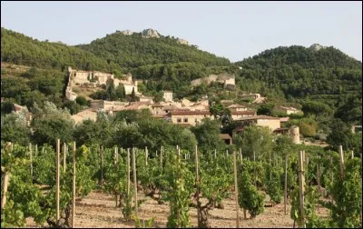 Voici le vignoble de Gigondas. Où se situe-t-on ?