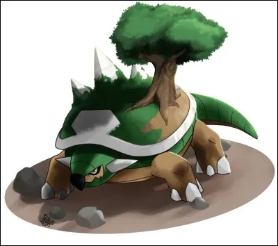 De quel(s) type(s) est Torterra ?