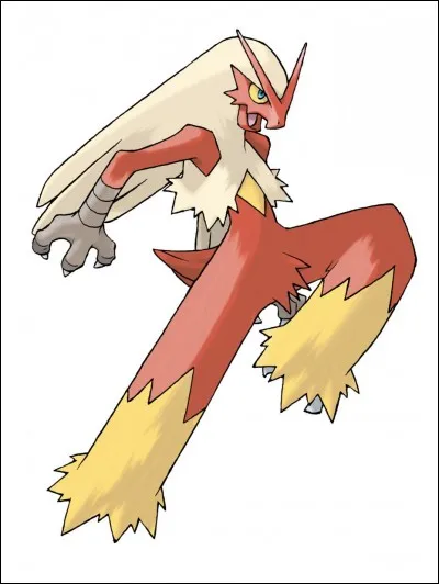 De quel(s) type(s) est Braségali ?