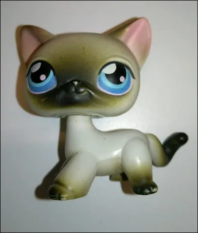 Comment le personnage principal de sa série s'appelle-t-il ?