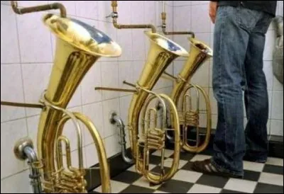 Quel est l'instrument dans lequel ce quidam - ni nul autre d'ailleurs - ne pissera pas ?