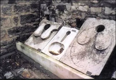 Toujours au XVe s., copistes et clercs s'imposent... de même que le papier : François Villon s'en fait d'ailleurs l'écho enthousiaste. Mais une civilisation est autrement plus avancée (voir l'image). Laquelle ?