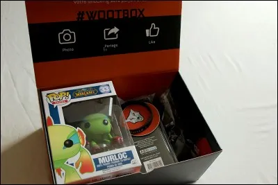 A-t-il déjà fait une vidéo ouverture d'une box ?