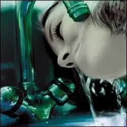 Quel est le titre de cet album d'Indochine ?