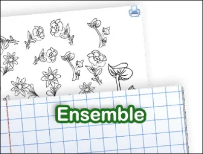 Si vous faites un score de 80 %, que peut on dire ?