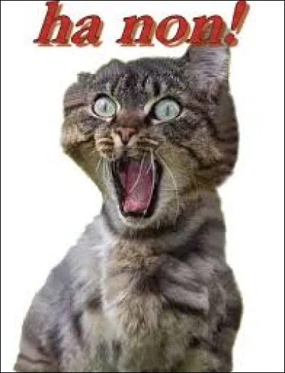 Qu'est-ce qu'il ne faut pas faire en public à Waterville ?