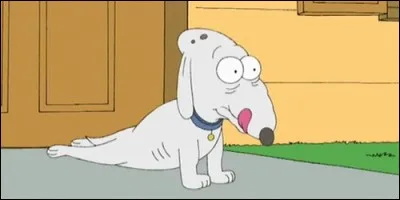 A qui appartient Jessie ?