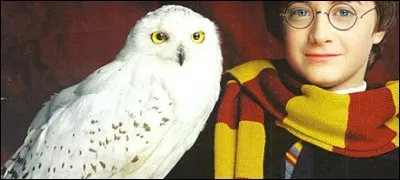 Quel est le seul Horcruxe animal ?