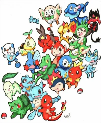 Gen.2 / Les Starters de cette génération sont :