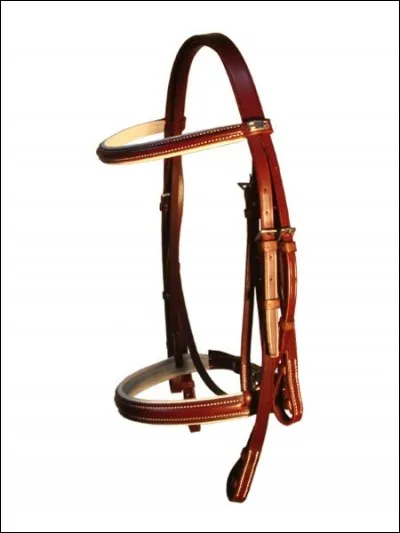 Comment s'appelle la corde que le cheval a autour de la tête quand il est harnaché ?