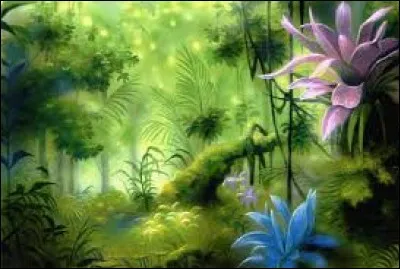 Diminution progressive d'une couleur allant du plus foncé au plus clair : dé...