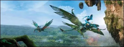 Sur une planète extraterrestre, Jake Sully est censé infiltré le clan des Na'vi de façon à ce que les hommes puissent exploiter un minerai qui pourrait résoudre la crise énergétique de la Terre. Quel est ce film sorti en 2009 ?