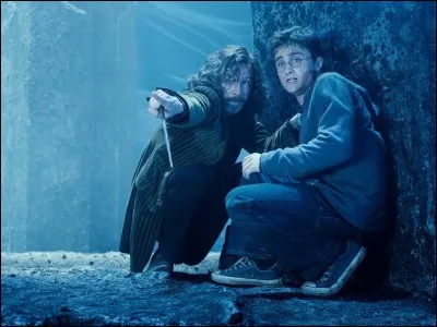 Comment Sirius appelle-t-il Harry pendant qu'ils se battent ?