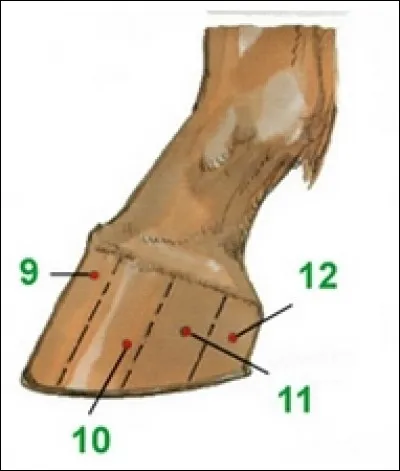 Coche les bonnes affirmations.