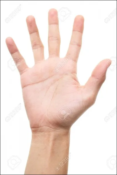 Combien y a-t-il d'addons des Sims 4 ?