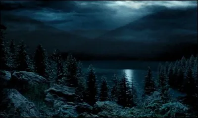 Après 3 heures de cours, tu décides de te promener en dehors de Poudlard à la lisière de la forêt interdite. Soudain des élèves te prennent pour appât et te lancent des sorts. Comment gères-tu la situation ?