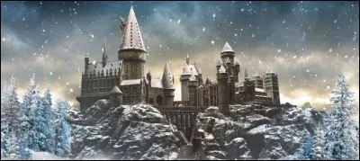 Nous arrivons presque au mois de Noël et un grand examen de sorts (sous forme de duels avec un jury) se prépare. Comment te sens-tu ?