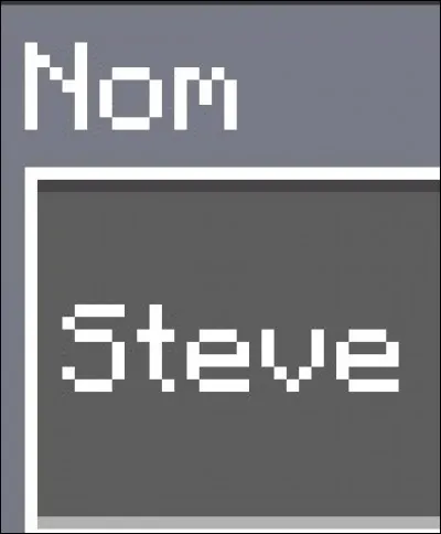 On peut avoir maximum 15 caractère pour son pseudo (nom)