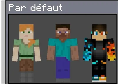 Le 21 Javier 2017
Combien y a t il de pack de skin sans compter le pack par défaut