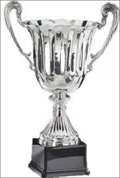 Aimes-tu les défis ?