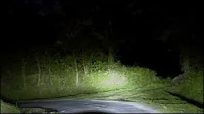 Sur une route étroite et sinueuse la nuit, on peut utiliser les feux de brouillard avant en complément des feux de croisement.