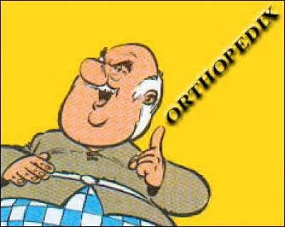 Patron d'une auberge à Arausio, il s'installera par la suite dans le village des irréductibles, dont il est soit-disant le propriétaire. Orthopédix apparaît dans l'album ...