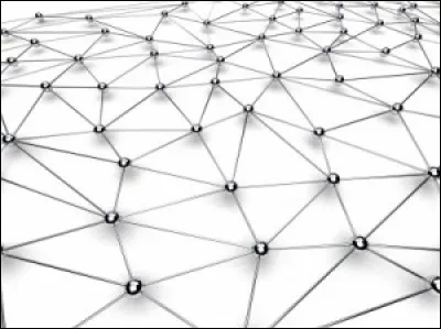 Il est webmaster de Quizz.biz. Que signifie "web" en anglais ?