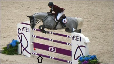 Quel est le nom de cet obstacle ?