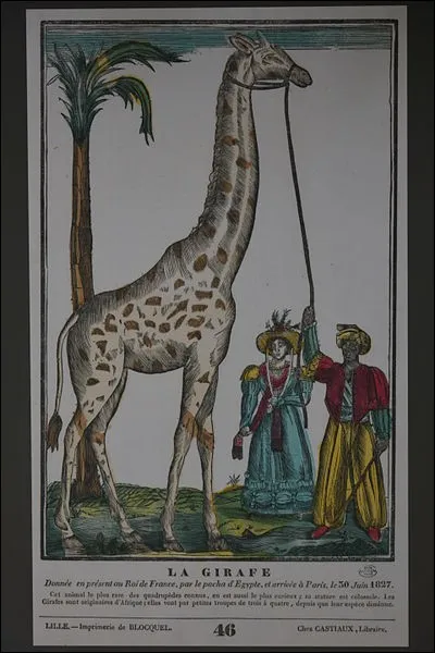 Quel est le nom de la première girafe à entrer en France ?