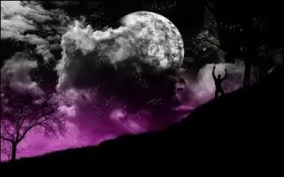 Parmi ces pays, lequel n'a pas de lune sur son drapeau ?