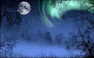 Quel est l'autre nom du poisson lune ?