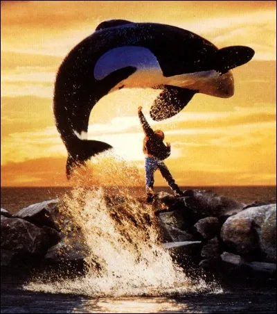 Quel est le vrai nom de l'orque du film "Sauver Willy" ?