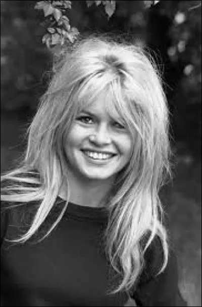 Qui chantait "Brigitte Bardot" en 1961 ?