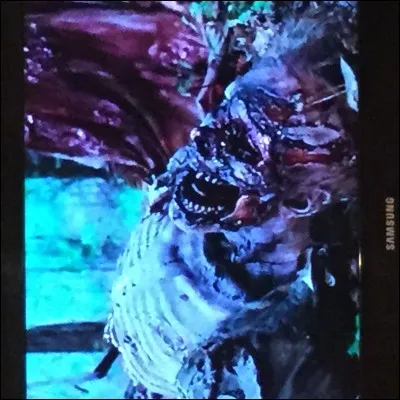 Qu'est-ce qui a détruit le mur ?