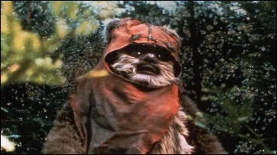 Comment s'appelle le chefs des Ewoks ?