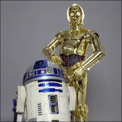 Comment s'appellent les petites créatures qui vendent R2D2 et C3PO à Owen Lars et Luke ?