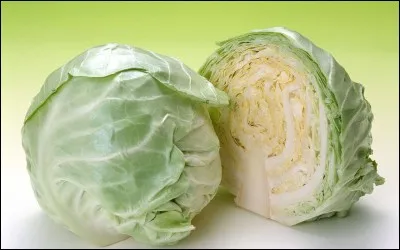 Des oreilles en feuilles de ... (Complétez)